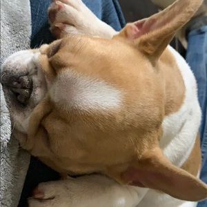 Meet your Posher, James